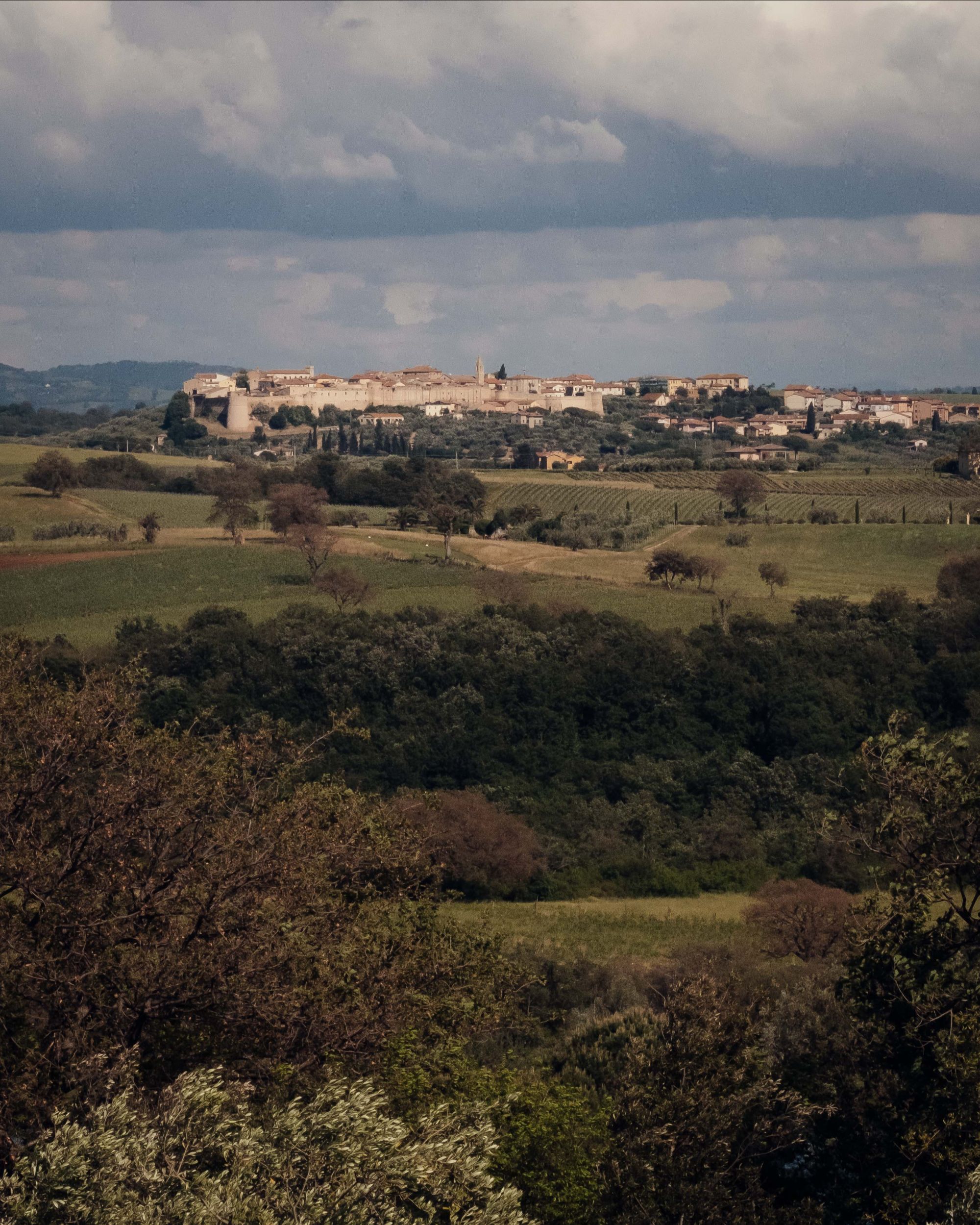 Ercolina - Gessato