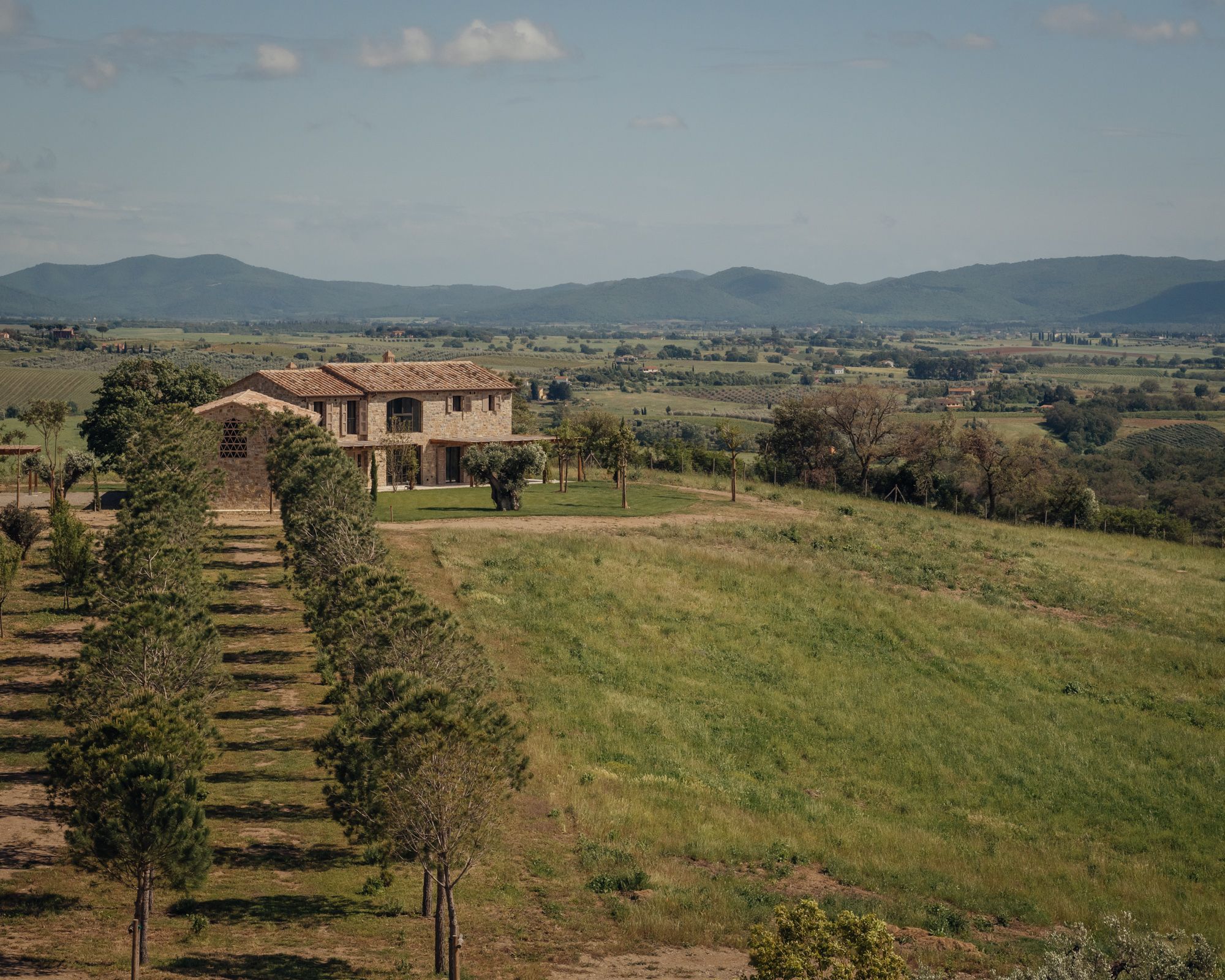 Ercolina - Gessato