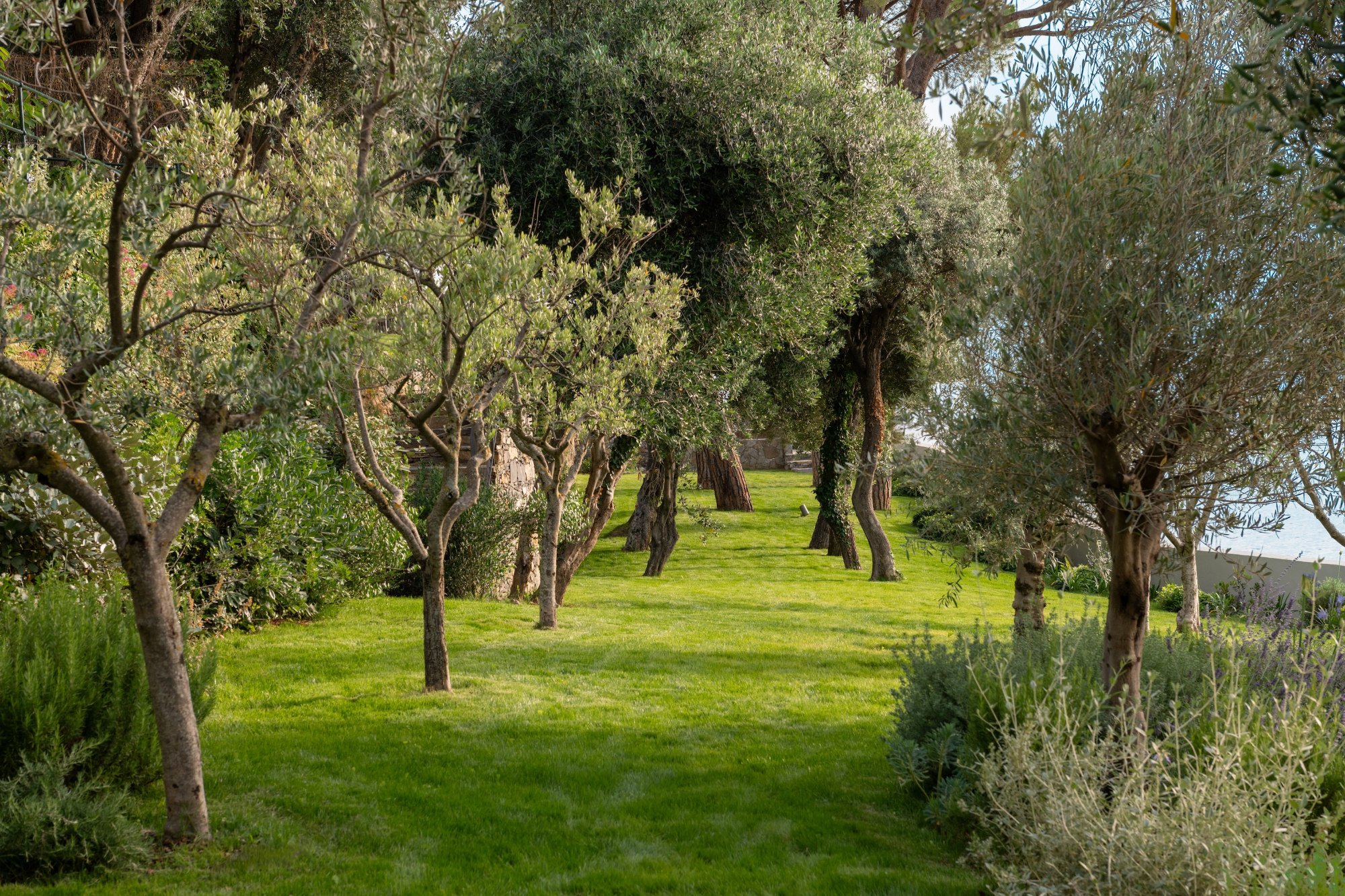 Villa in Recco - Gessato