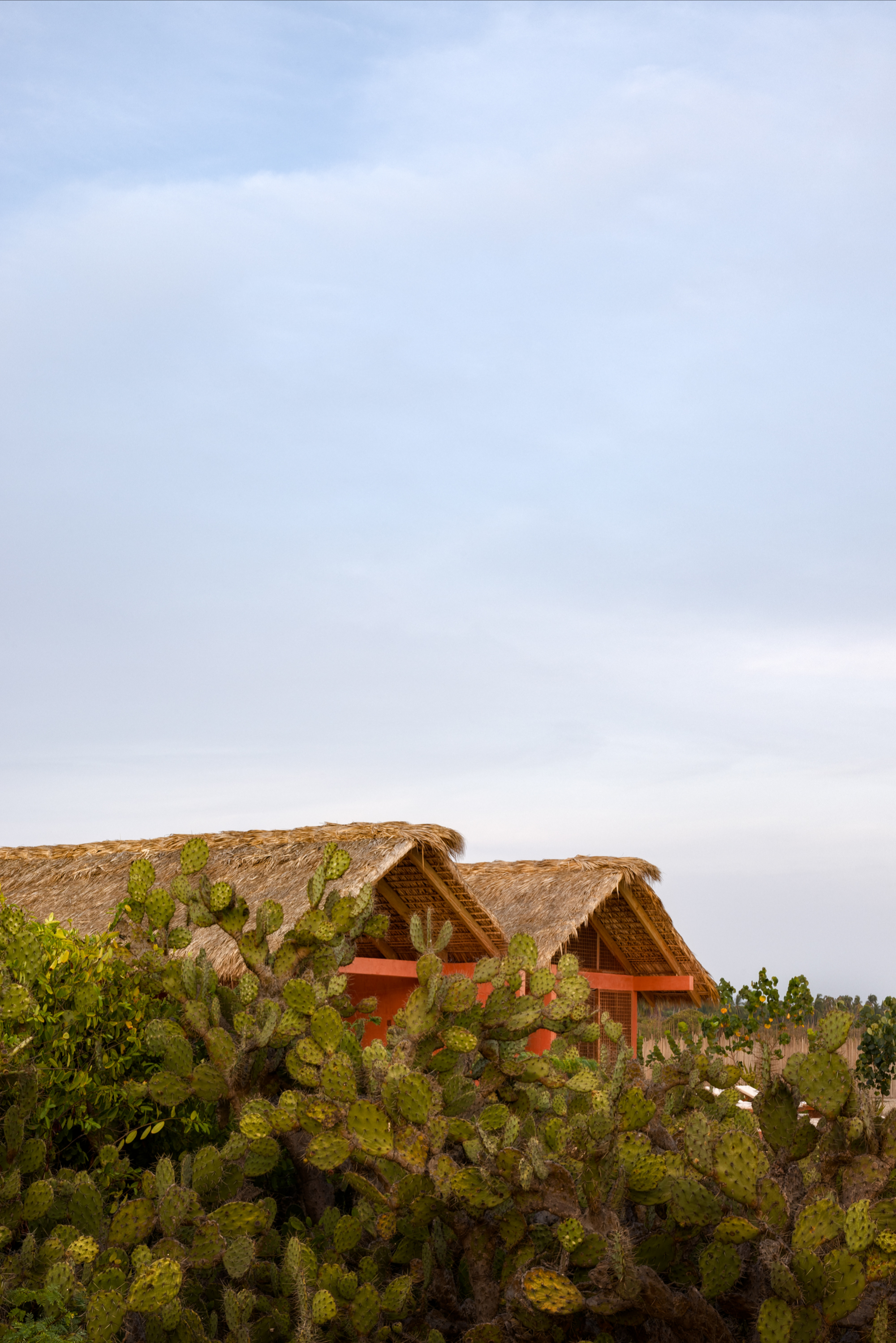 Casa Caimán - Gessato