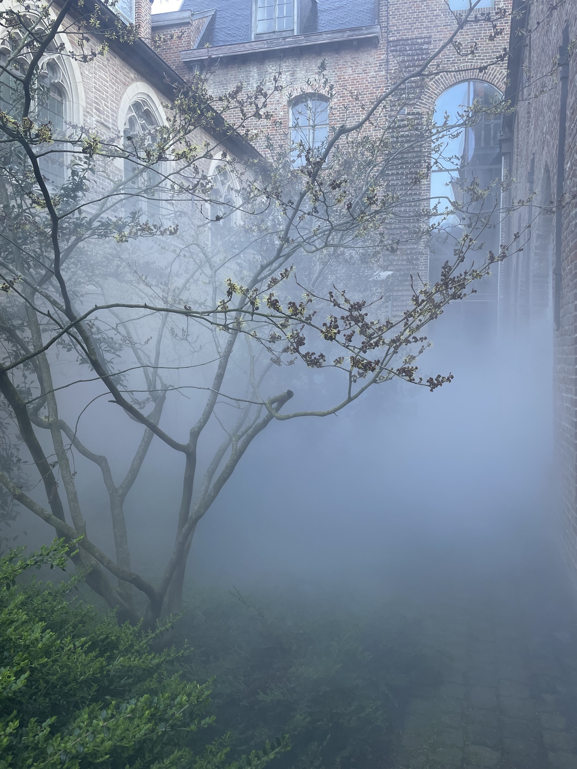 Cura’s Garden by Ben Thorp Brown - Gessato