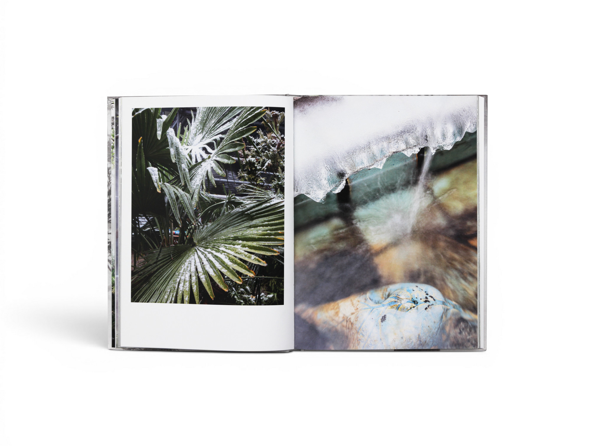 Cura’s Garden by Ben Thorp Brown - Gessato Cura’s Garden by Ben Thorp Brown - Gessato