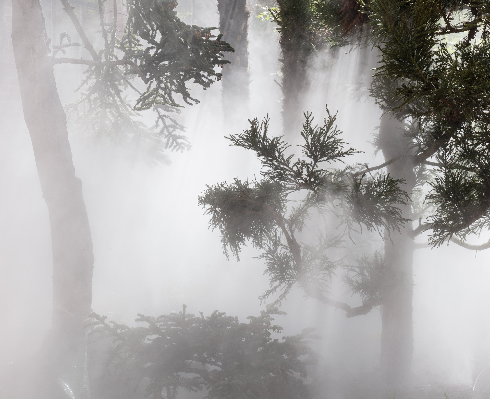 Cura’s Garden by Ben Thorp Brown - Gessato Cura’s Garden by Ben Thorp Brown - Gessato