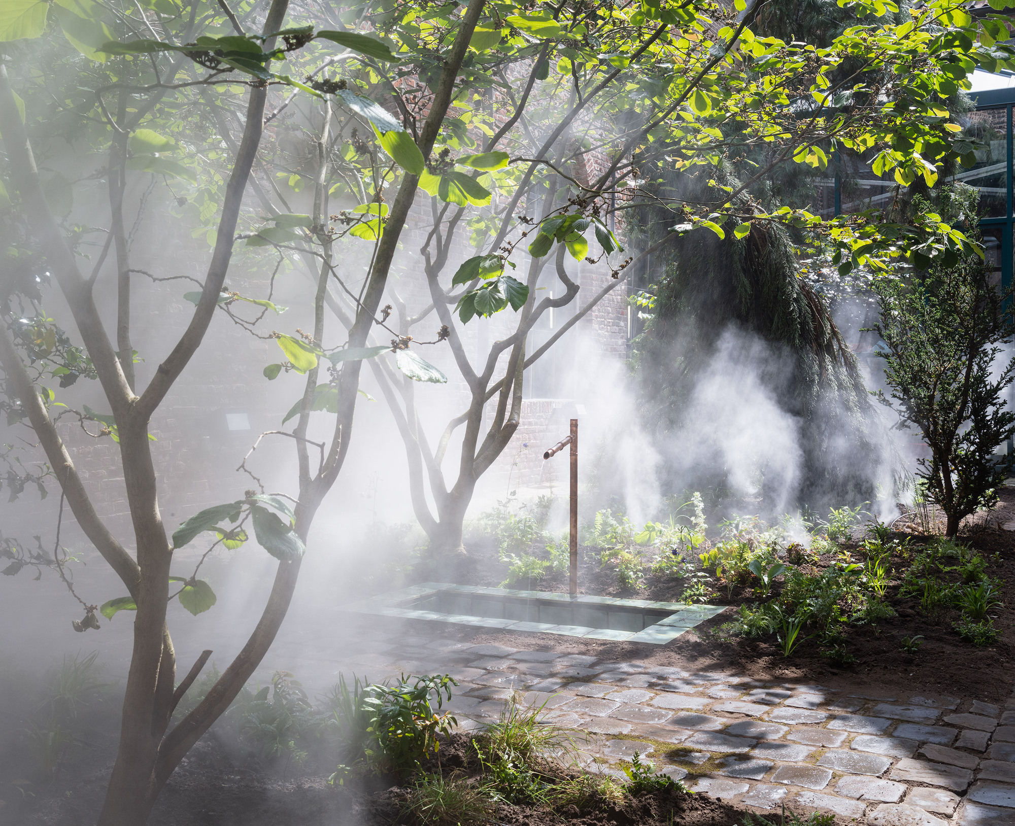Cura’s Garden by Ben Thorp Brown - Gessato Cura’s Garden by Ben Thorp Brown - Gessato