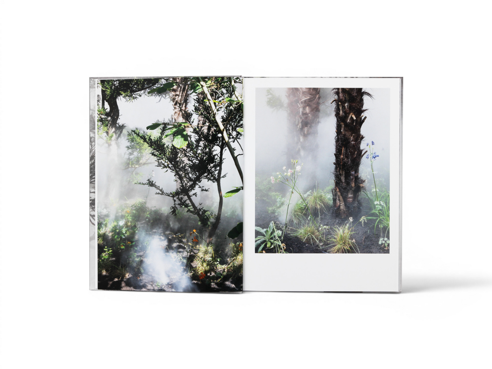 Cura’s Garden by Ben Thorp Brown - Gessato Cura’s Garden by Ben Thorp Brown - Gessato