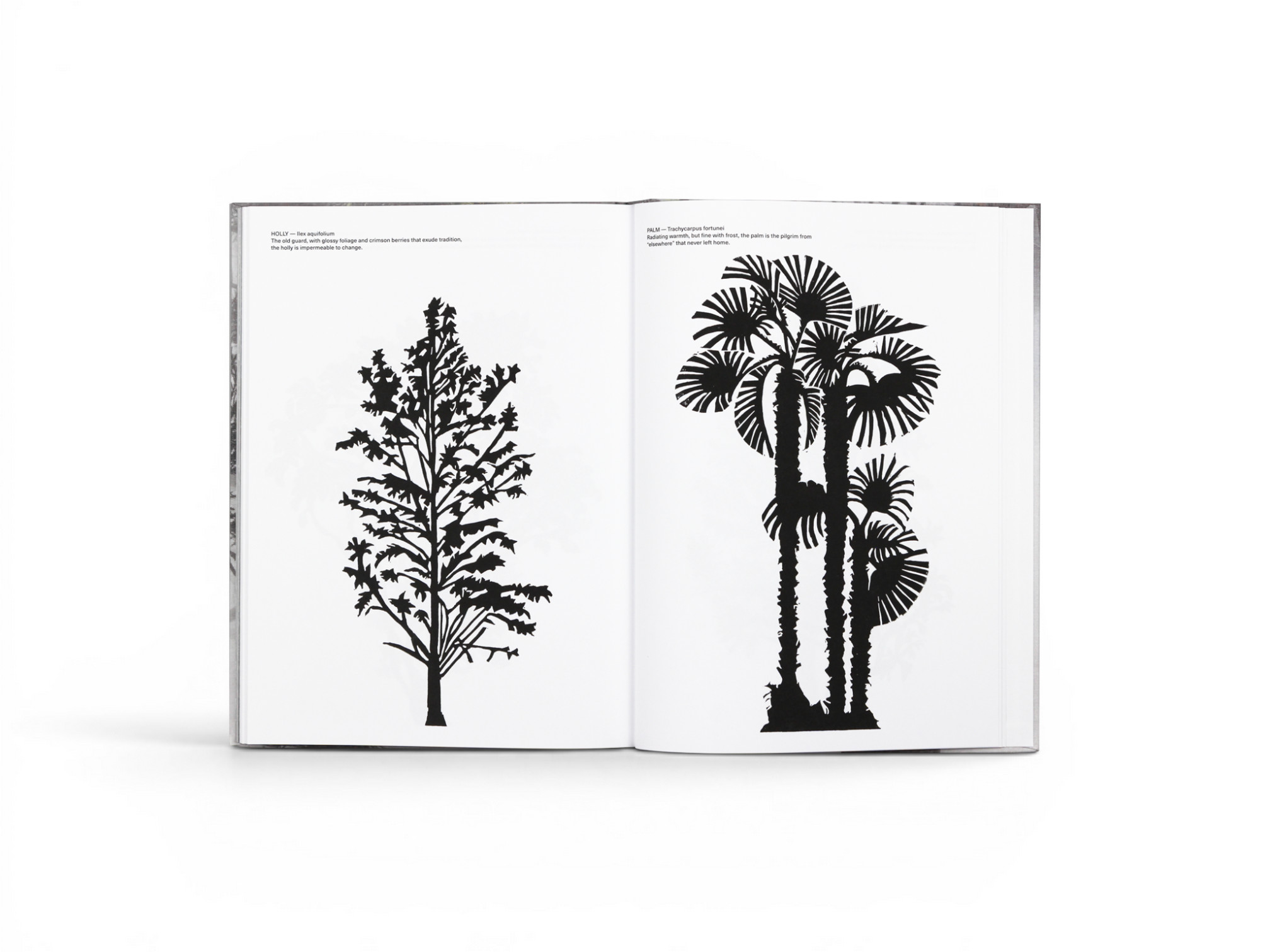 Cura’s Garden by Ben Thorp Brown - Gessato Cura’s Garden by Ben Thorp Brown - Gessato