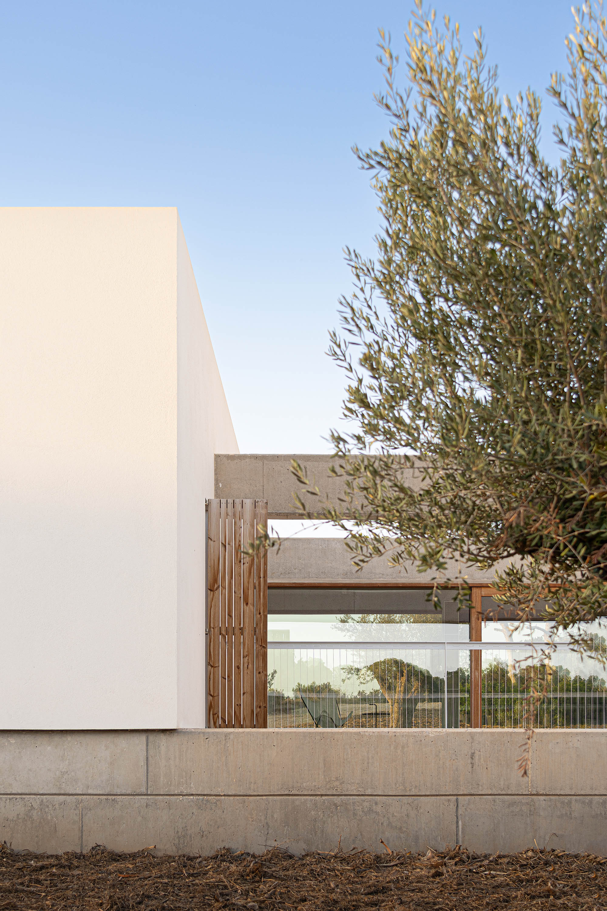 Ses Clotades by Marià Castelló - Gessato