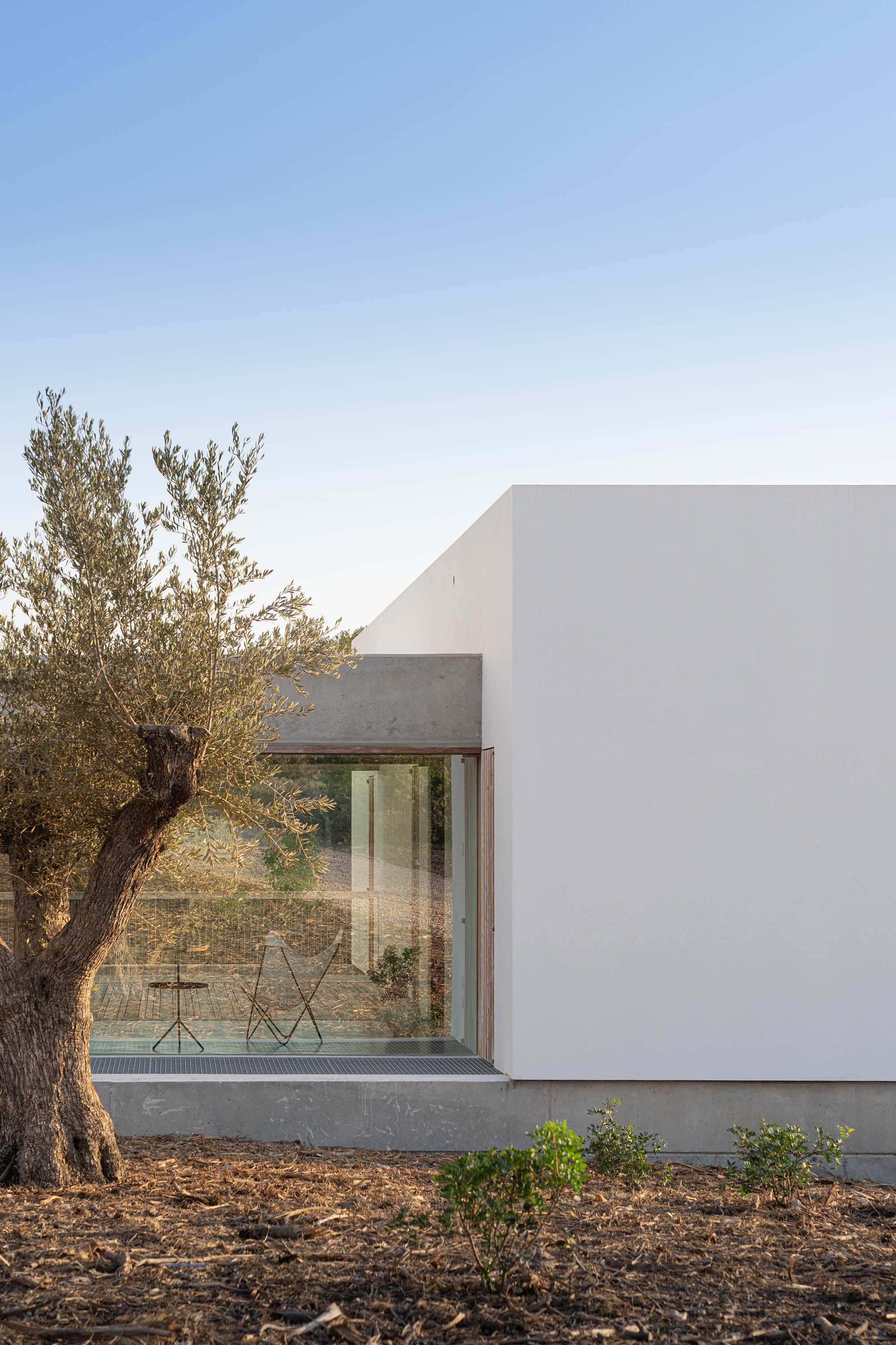 Ses Clotades by Marià Castelló - Gessato
