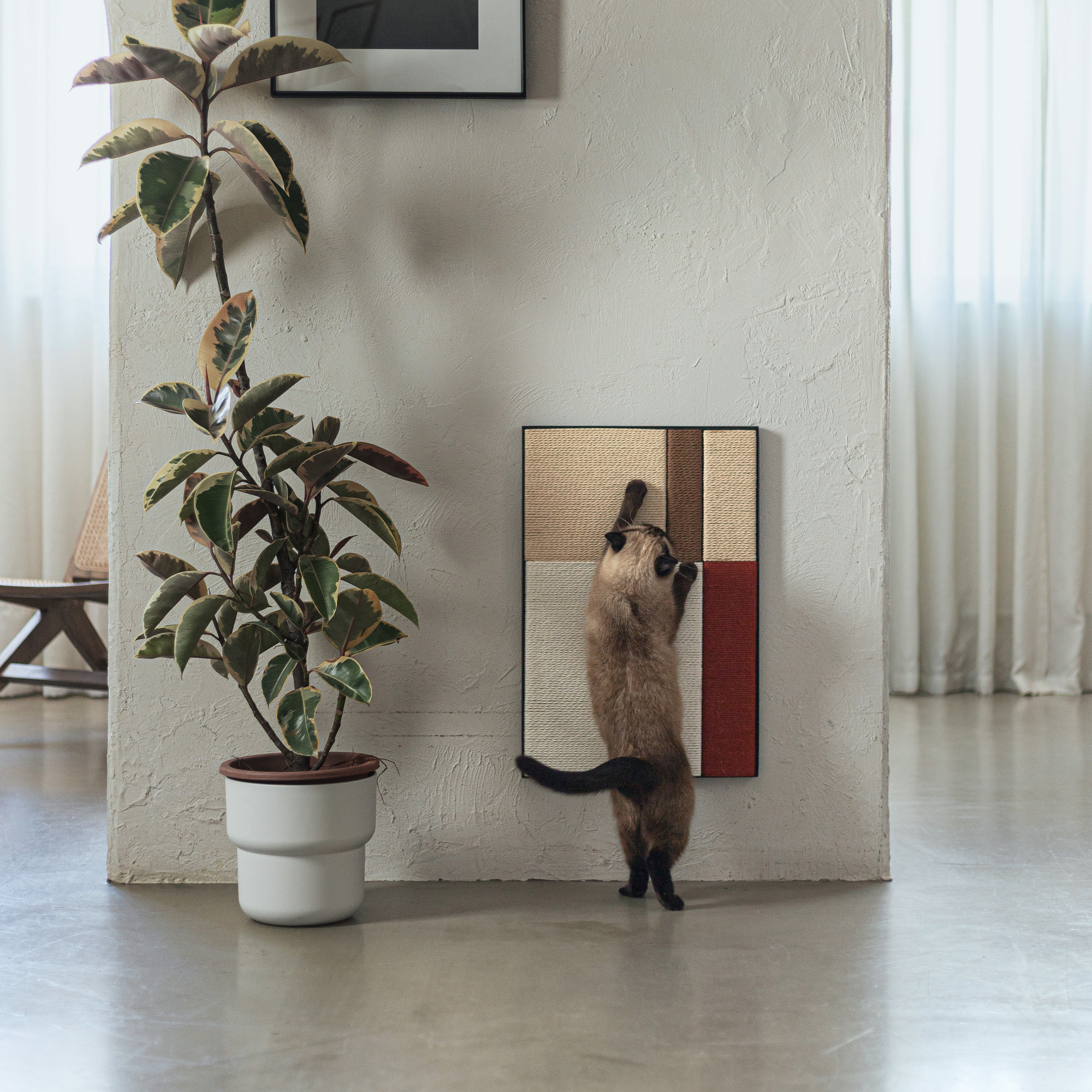 The Otiora Pet Furniture Collection - Gessato