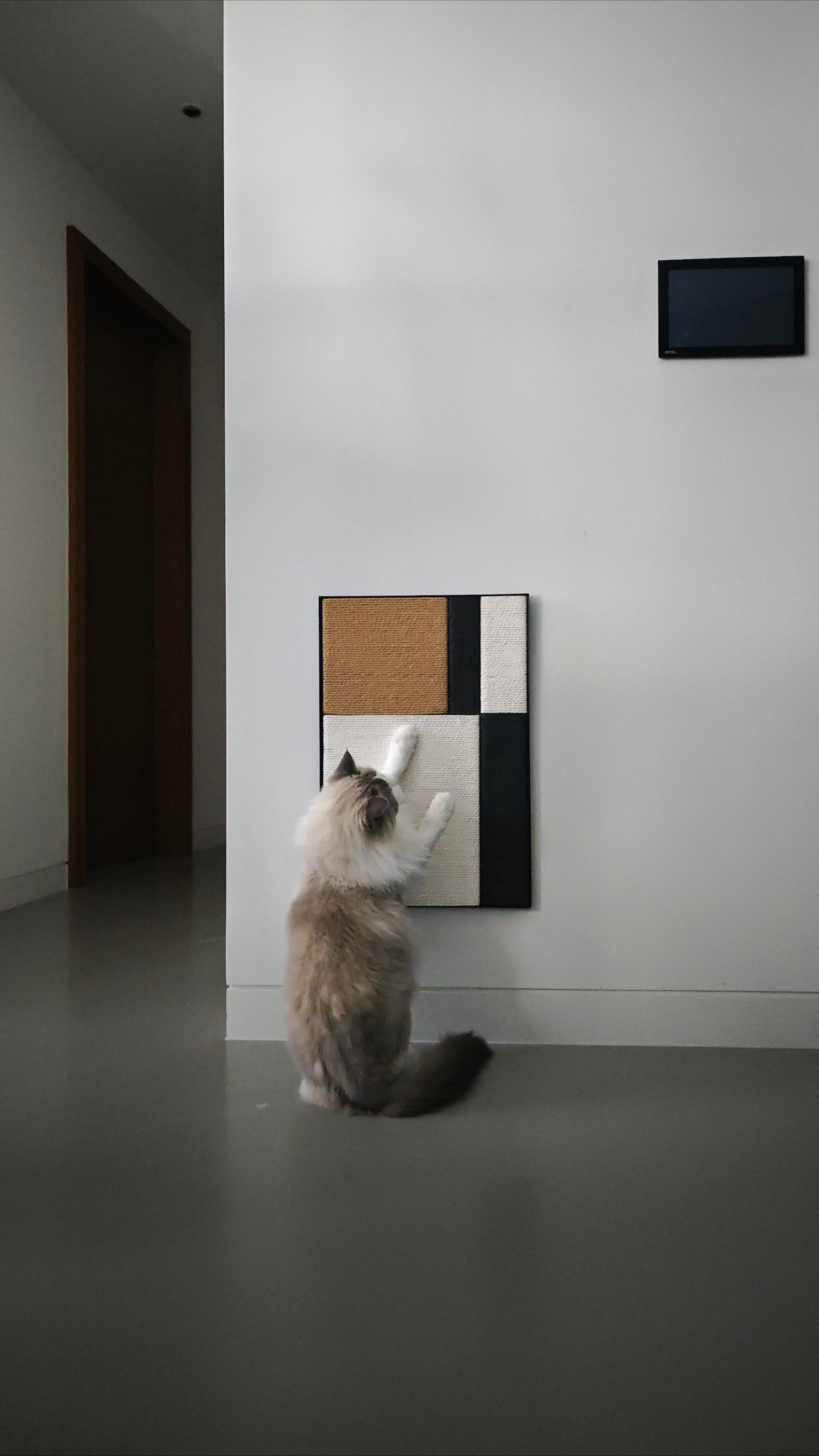 The Otiora Pet Furniture Collection - Gessato