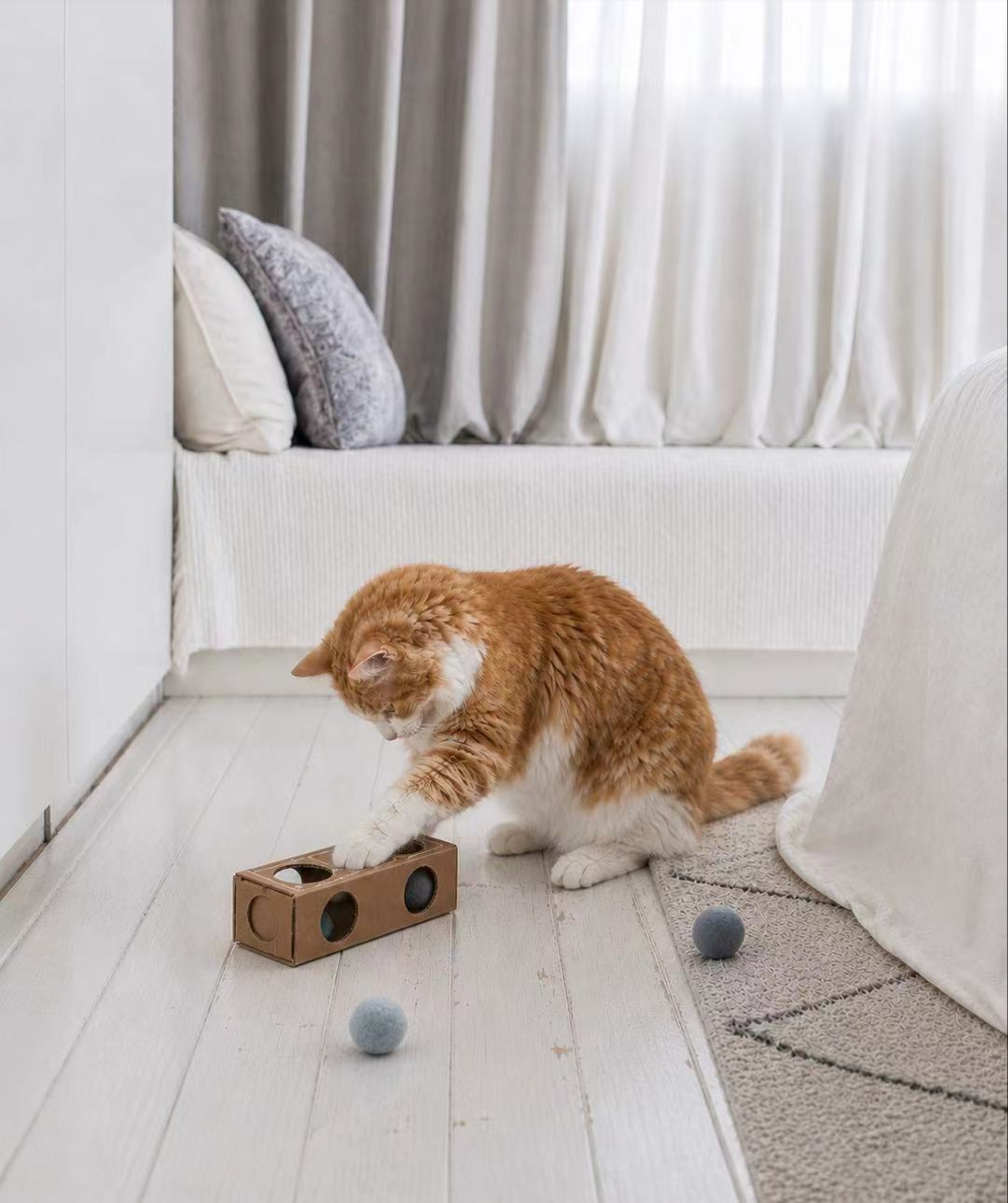 The Otiora Pet Furniture Collection - Gessato