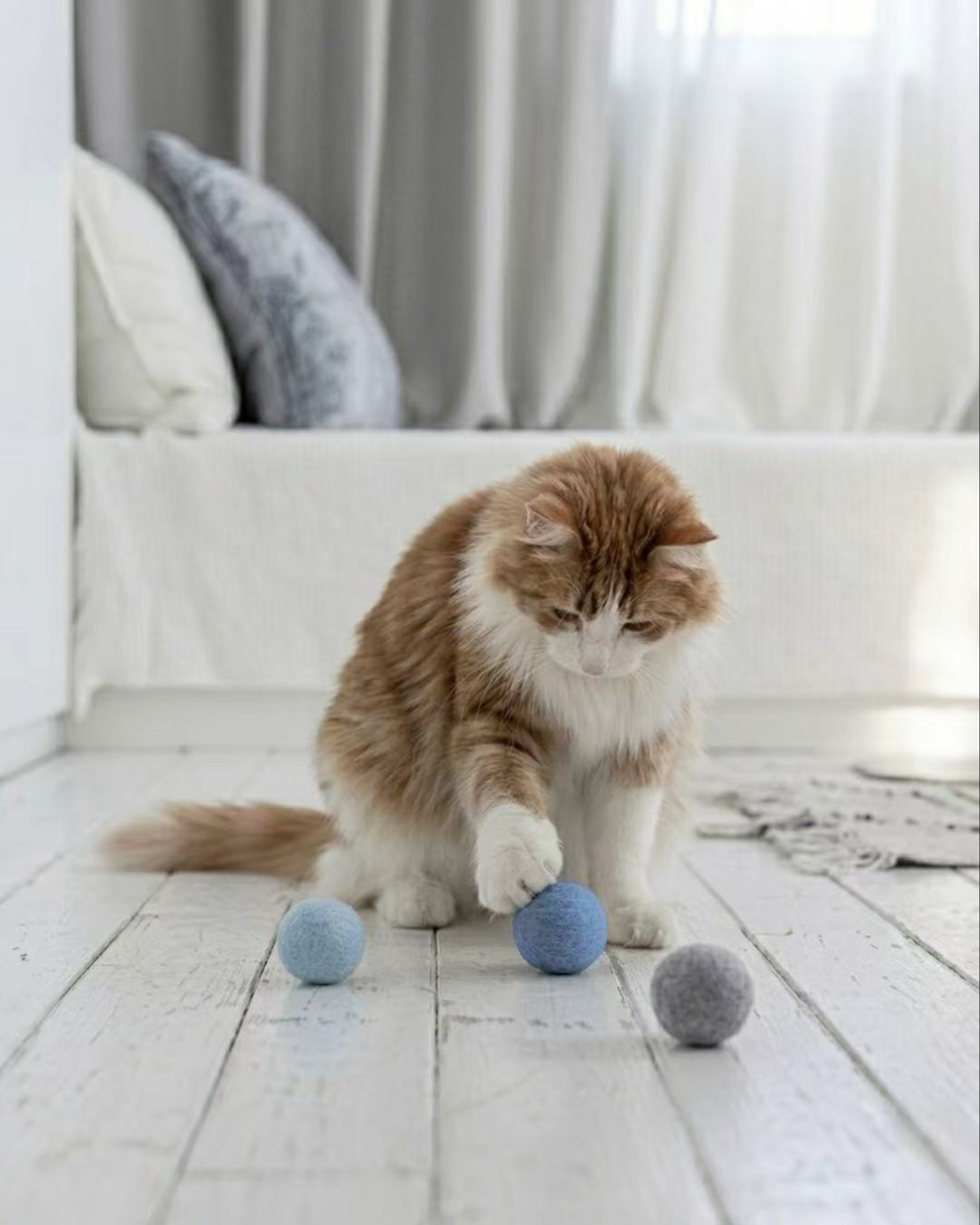 The Otiora Pet Furniture Collection - Gessato