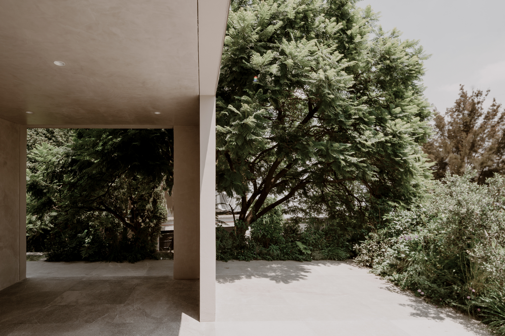 Casa Plan de Barrancas by PPAA - Gessato