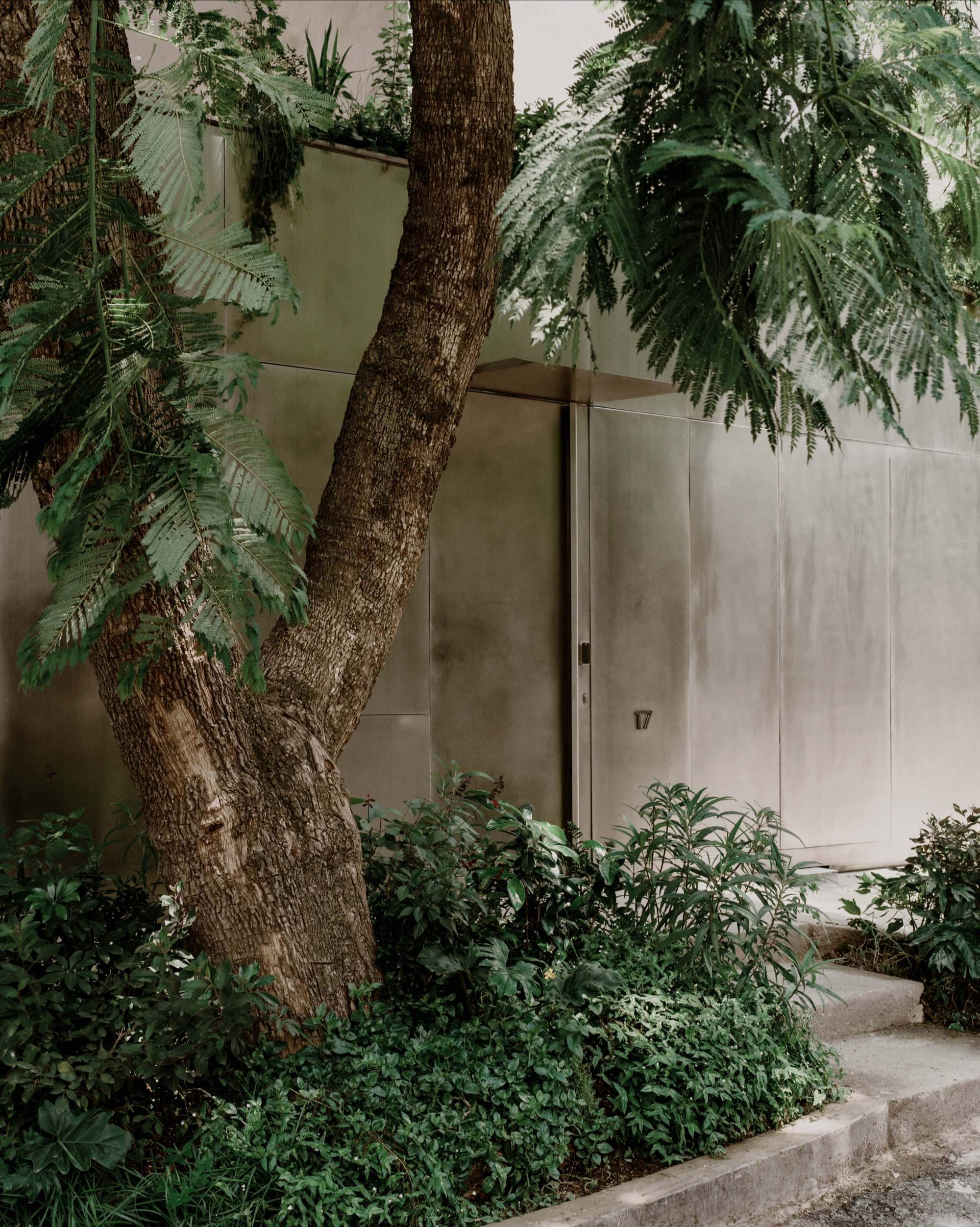 Casa Plan de Barrancas by PPAA - Gessato