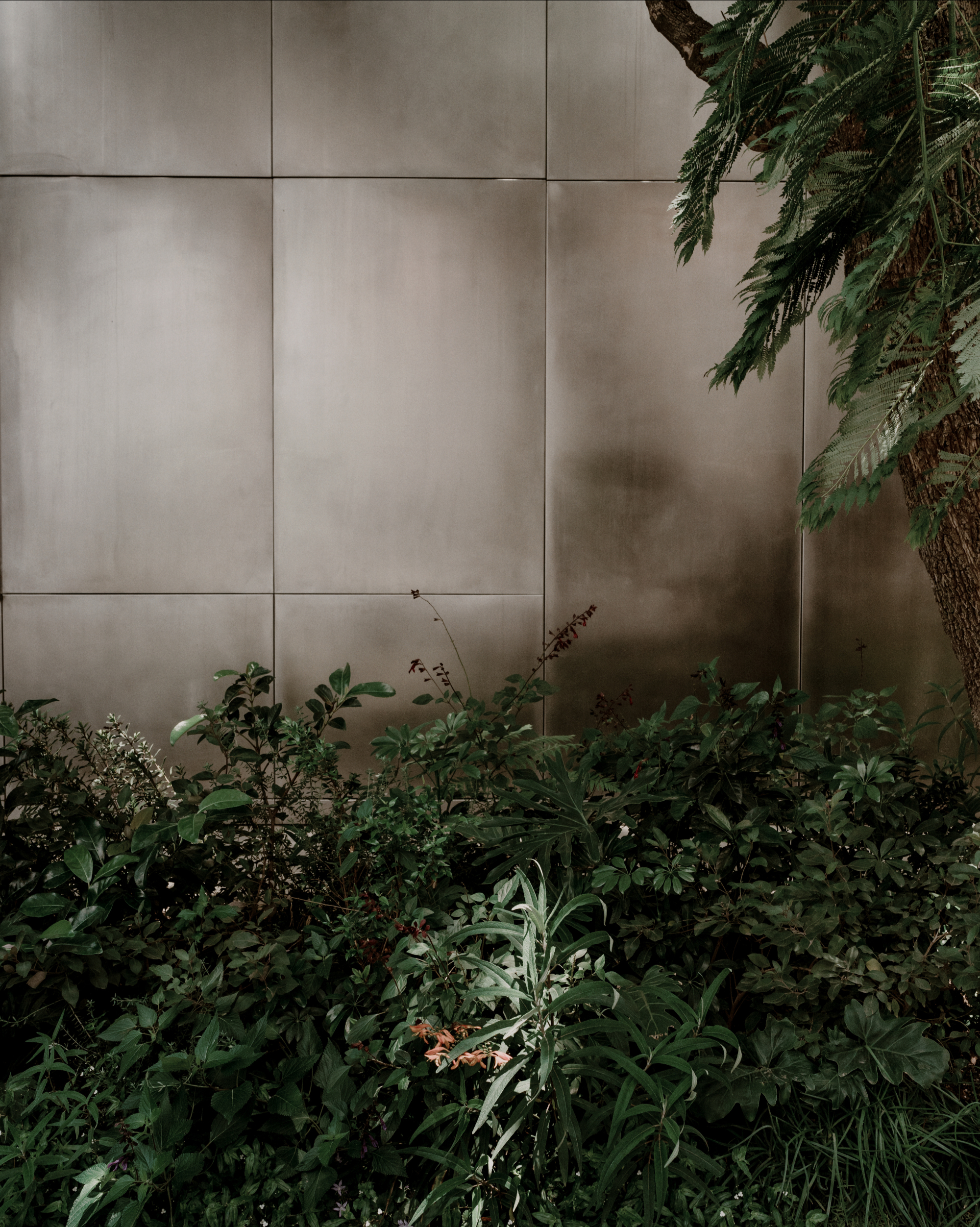 Casa Plan de Barrancas by PPAA - Gessato
