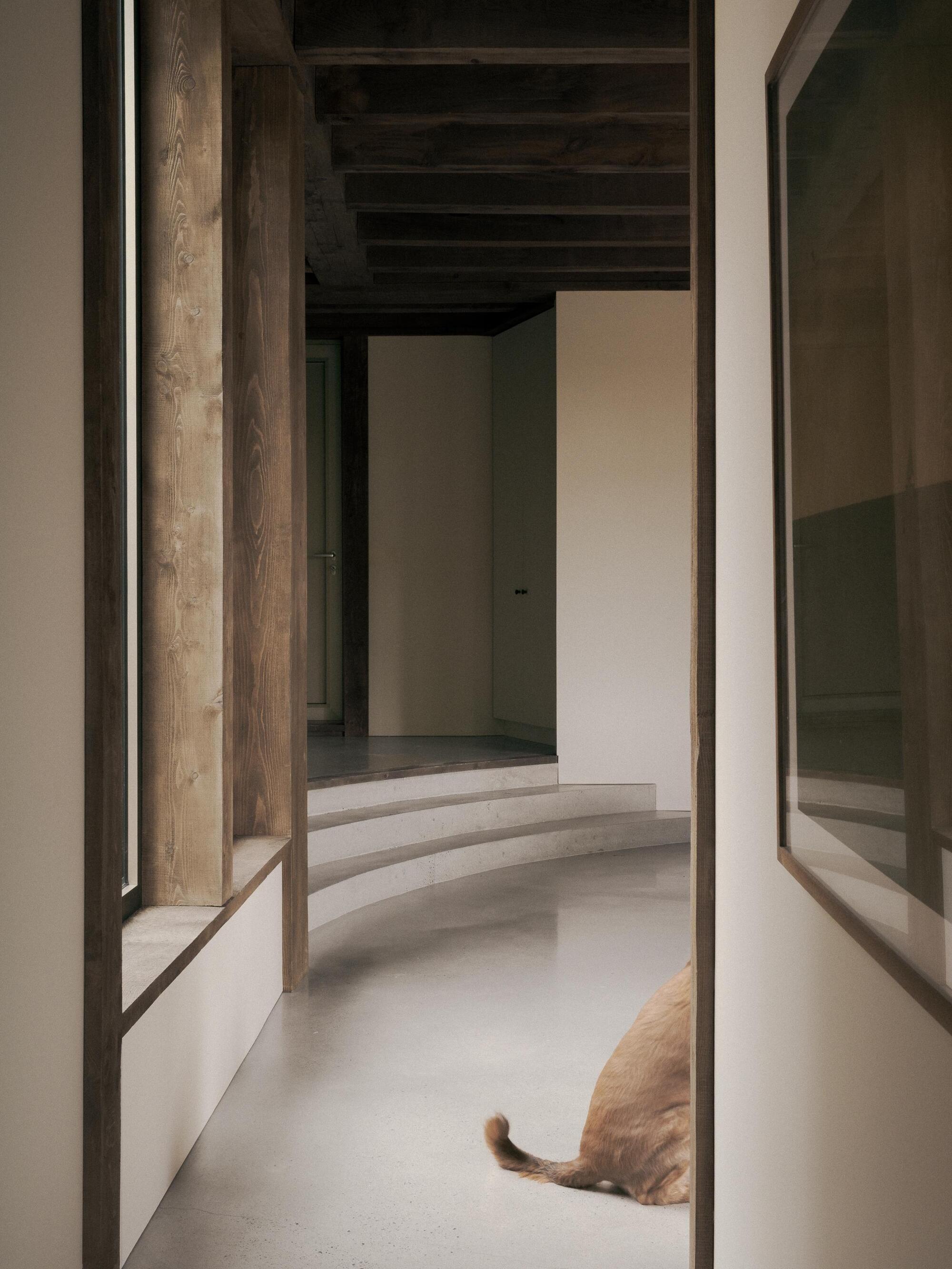 SONO Residence by Atelier Carle - Gessato