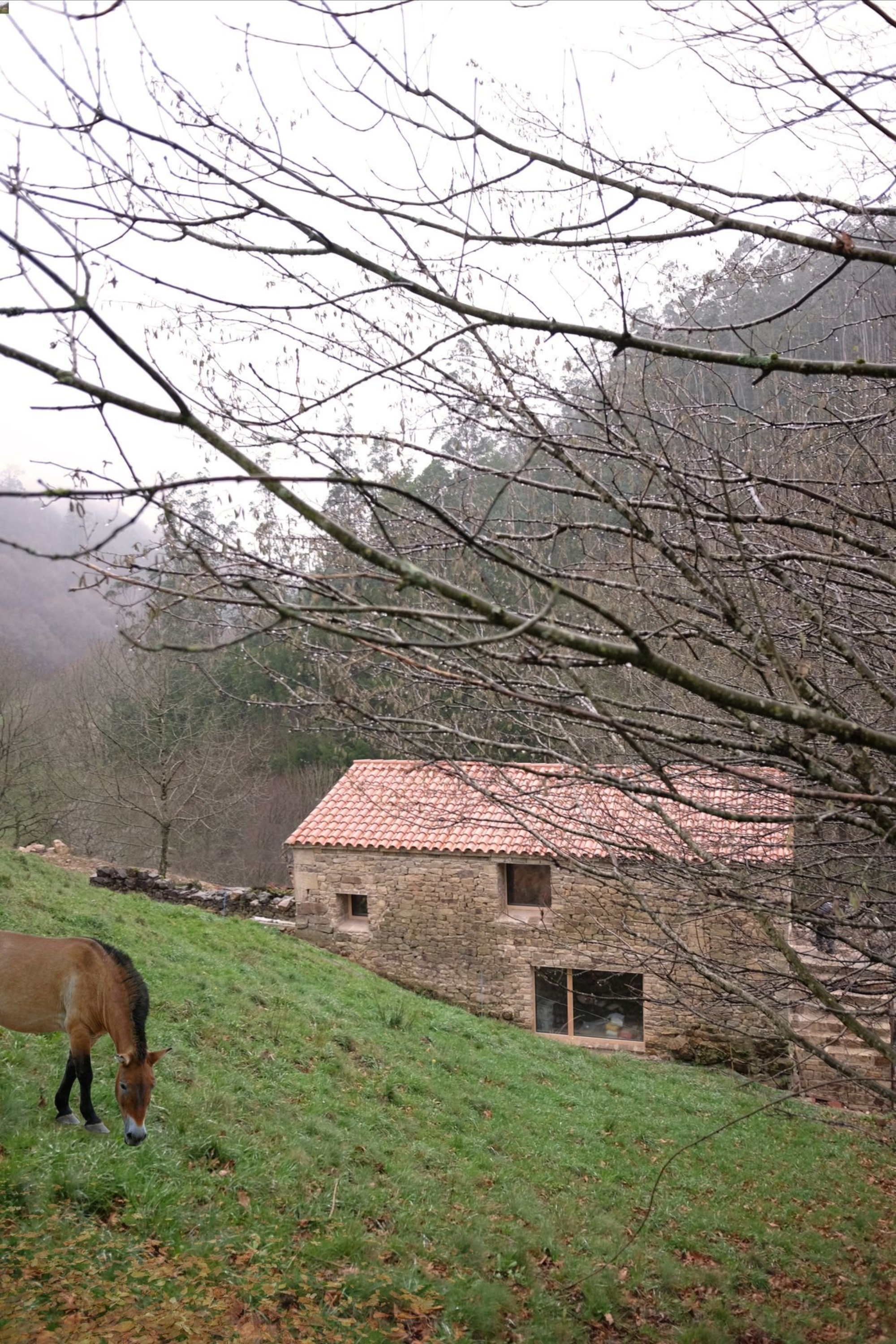 Casa Mínima - Gessato