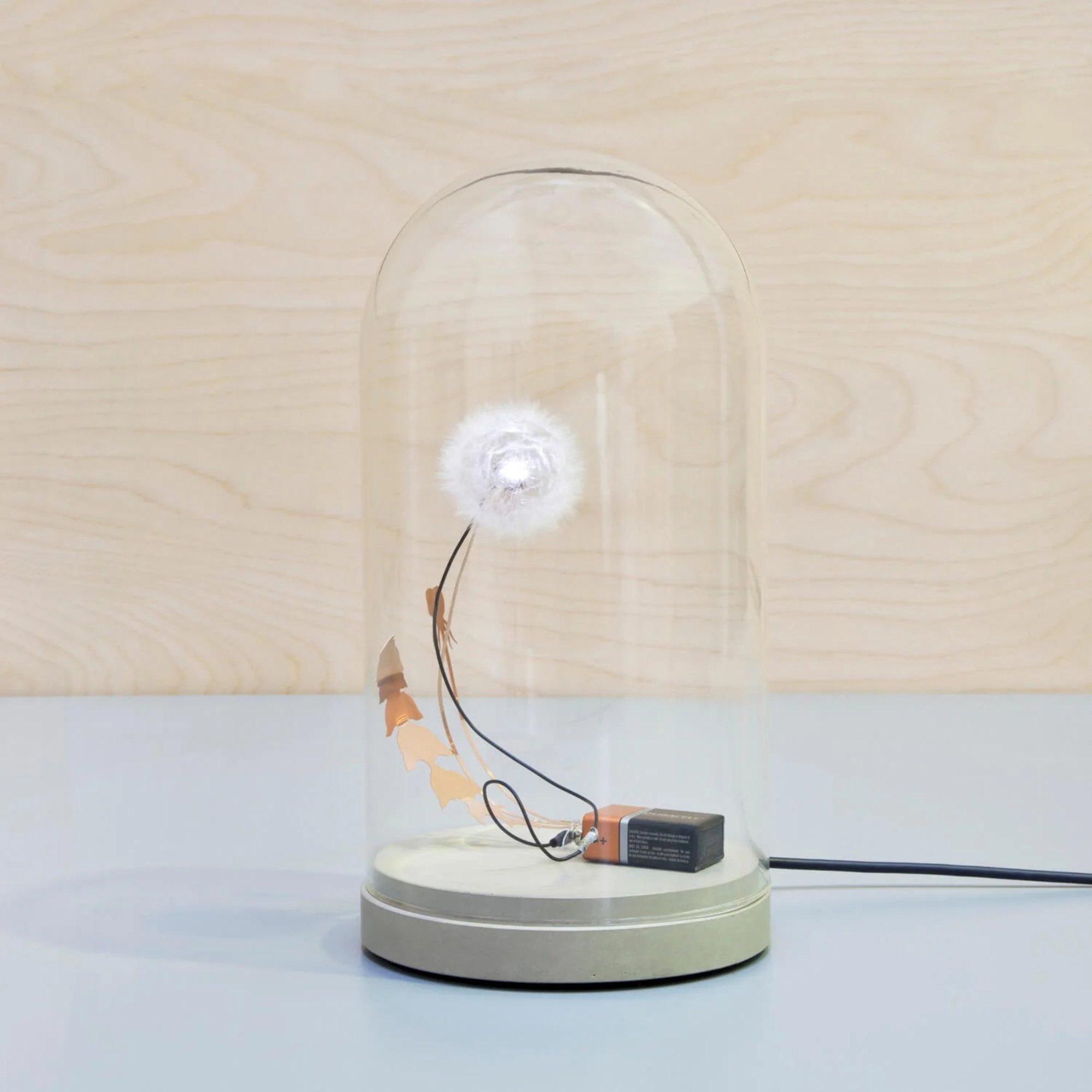 Dandelight by Studio Drift - Gessato