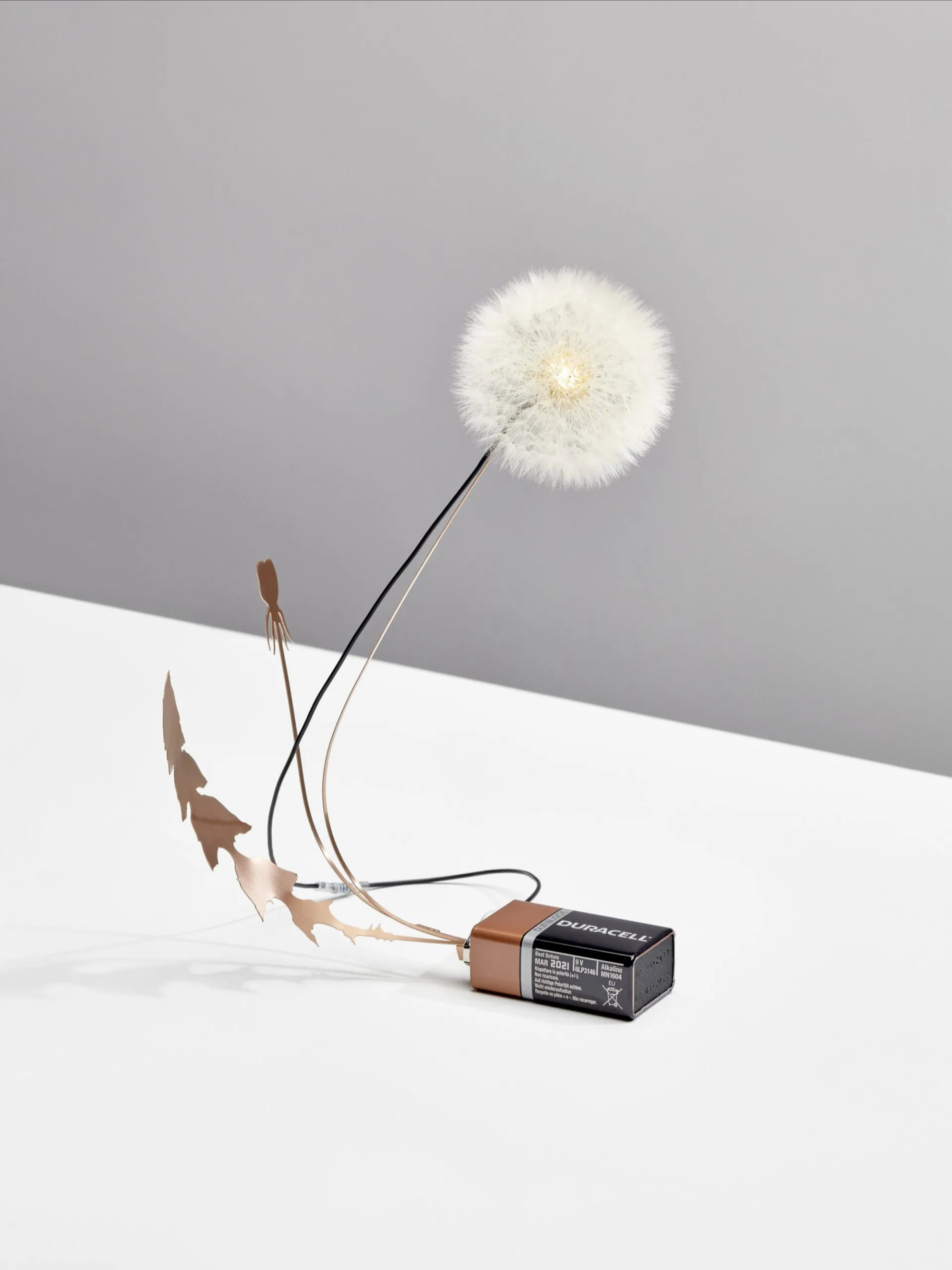 Dandelight by Studio Drift - Gessato Dandelight by Studio Drift - Gessato
