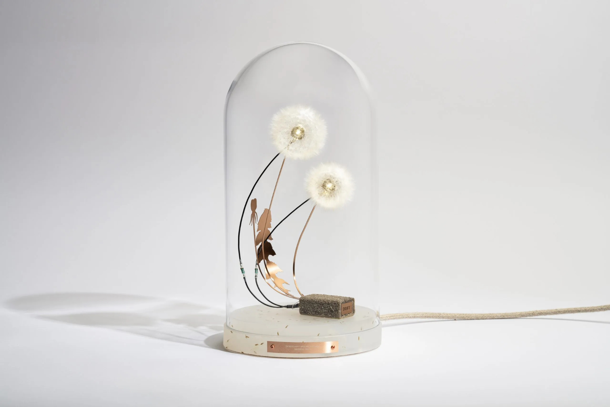 Dandelight by Studio Drift - Gessato