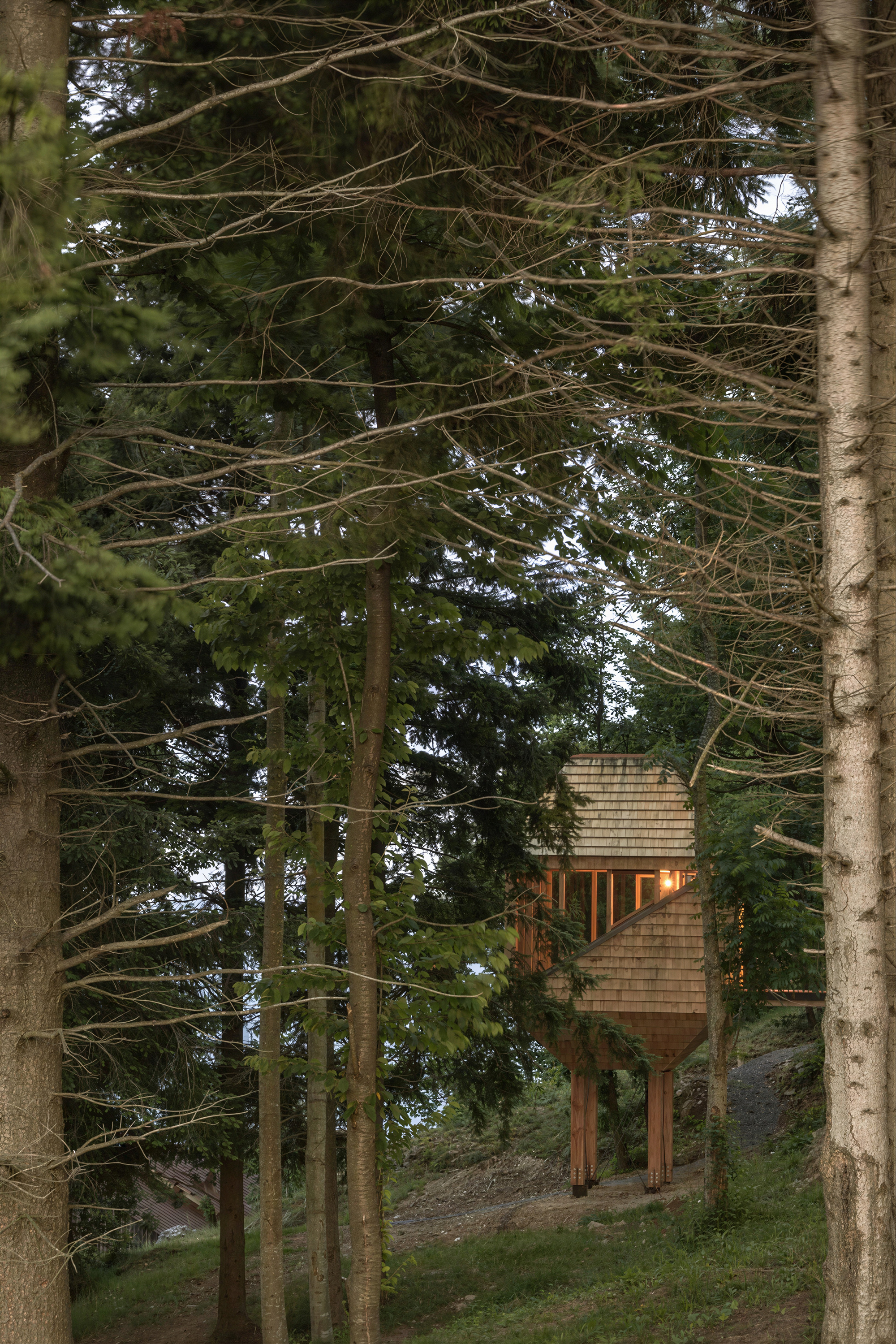 TreeBOX at Selucente: A Treehouse Cabin in Piedmont, Italy - Gessato TreeBOX at Selucente: A Treehouse Cabin in Piedmont, Italy - Gessato