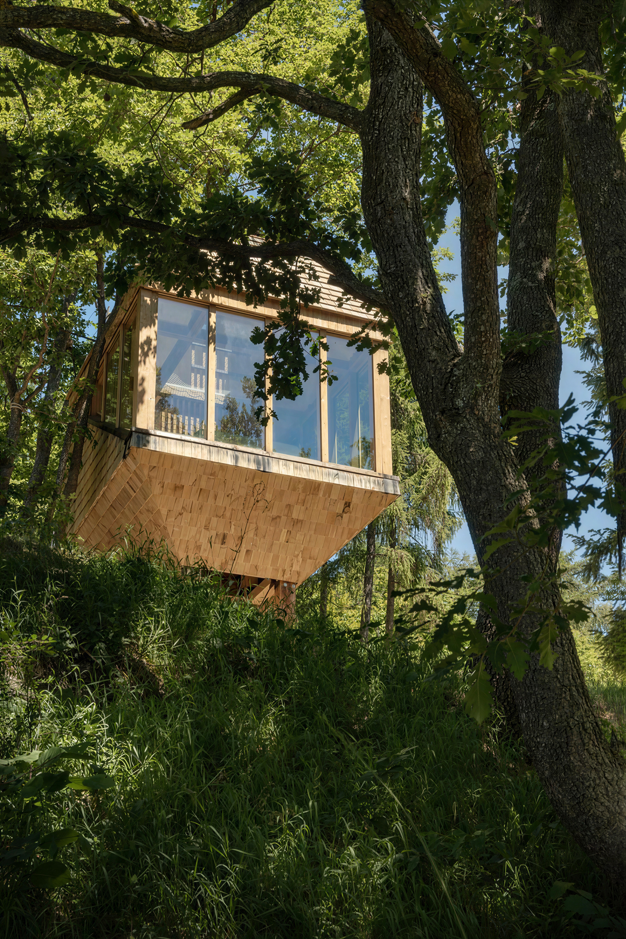 TreeBOX at Selucente: A Treehouse Cabin in Piedmont, Italy - Gessato TreeBOX at Selucente: A Treehouse Cabin in Piedmont, Italy - Gessato
