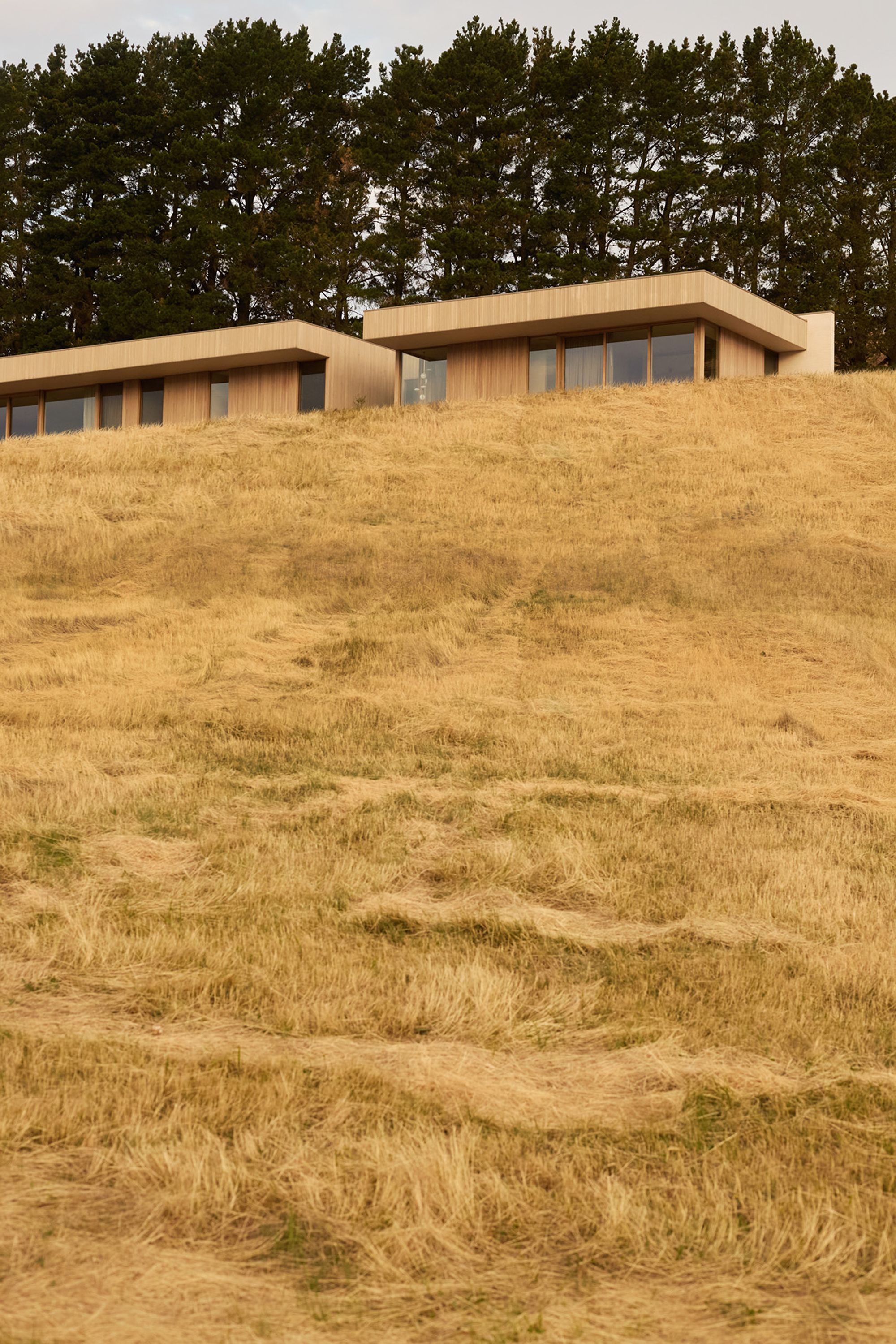 Kookaburra Ridge - Gessato