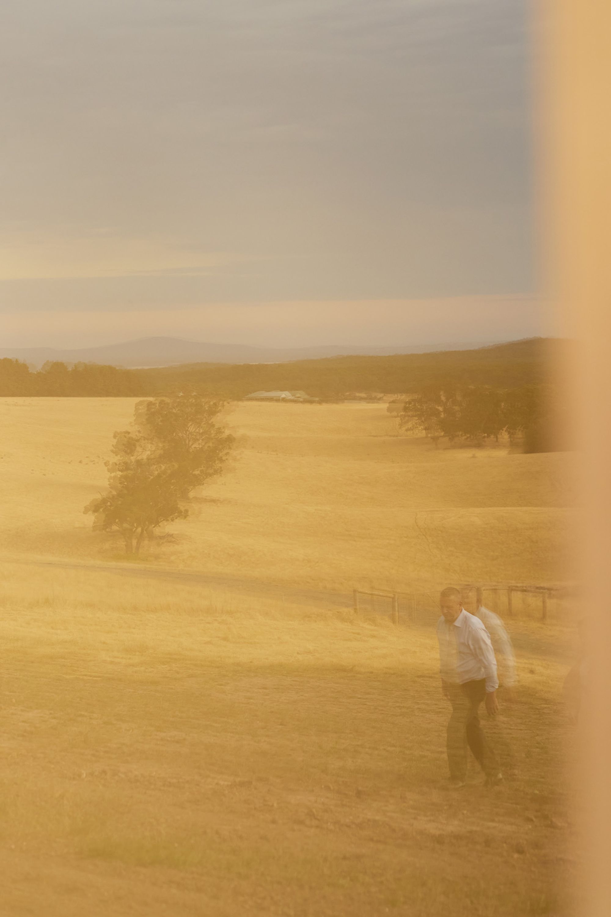 Kookaburra Ridge - Gessato