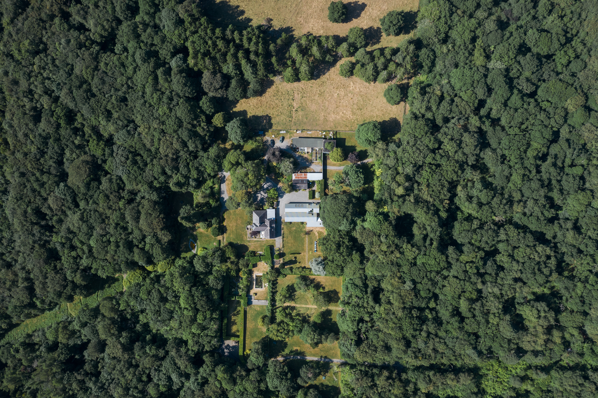 Mosse Woodland Studio - Gessato