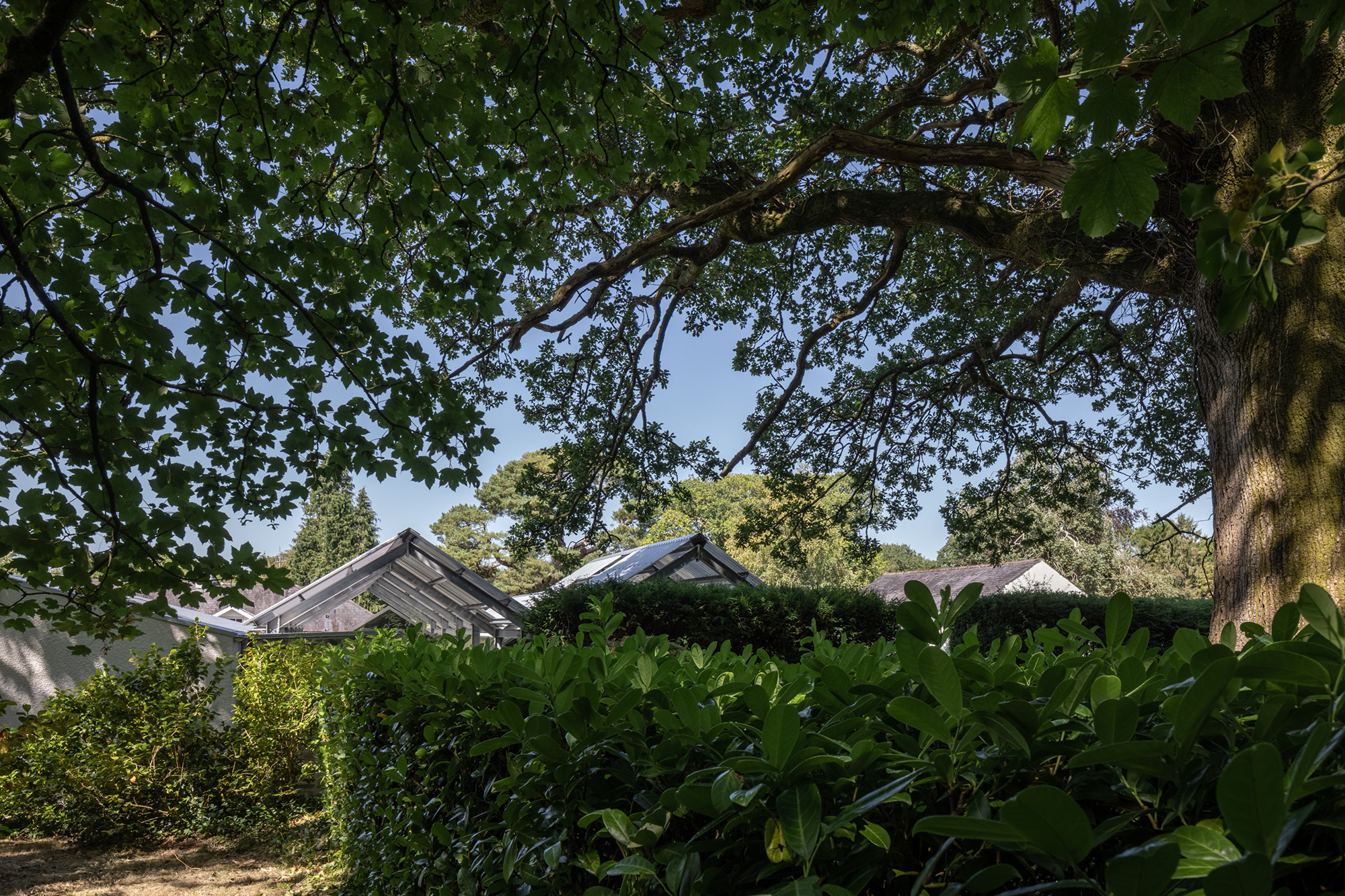 Mosse Woodland Studio - Gessato Mosse Woodland Studio - Gessato