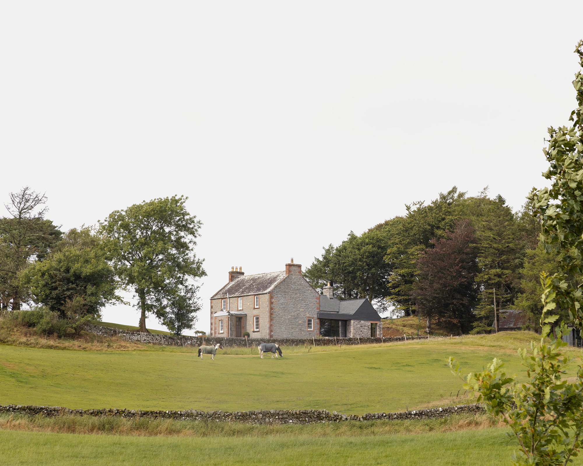 Whinstone Brae - Gessato Whinstone Brae - Gessato