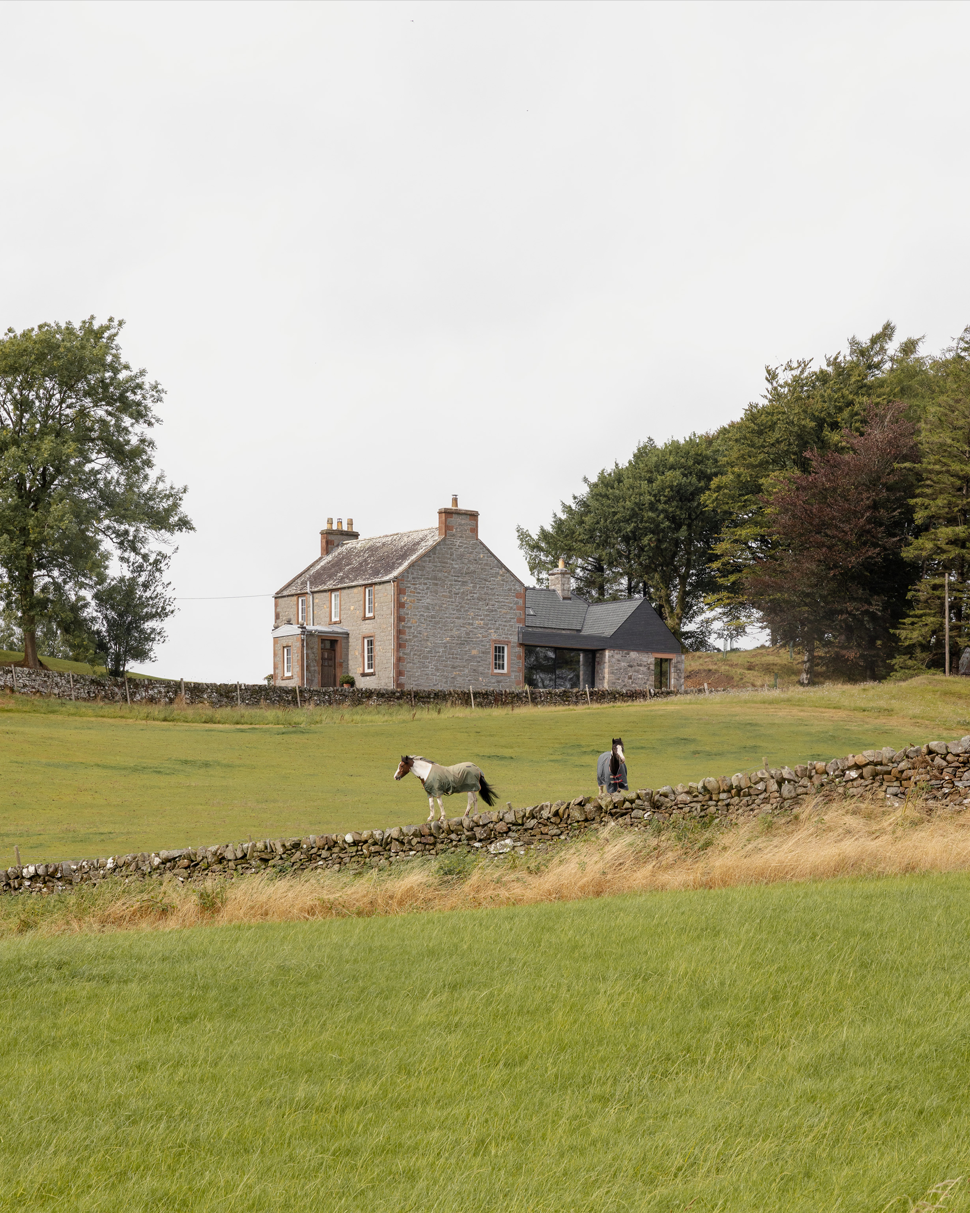Whinstone Brae - Gessato