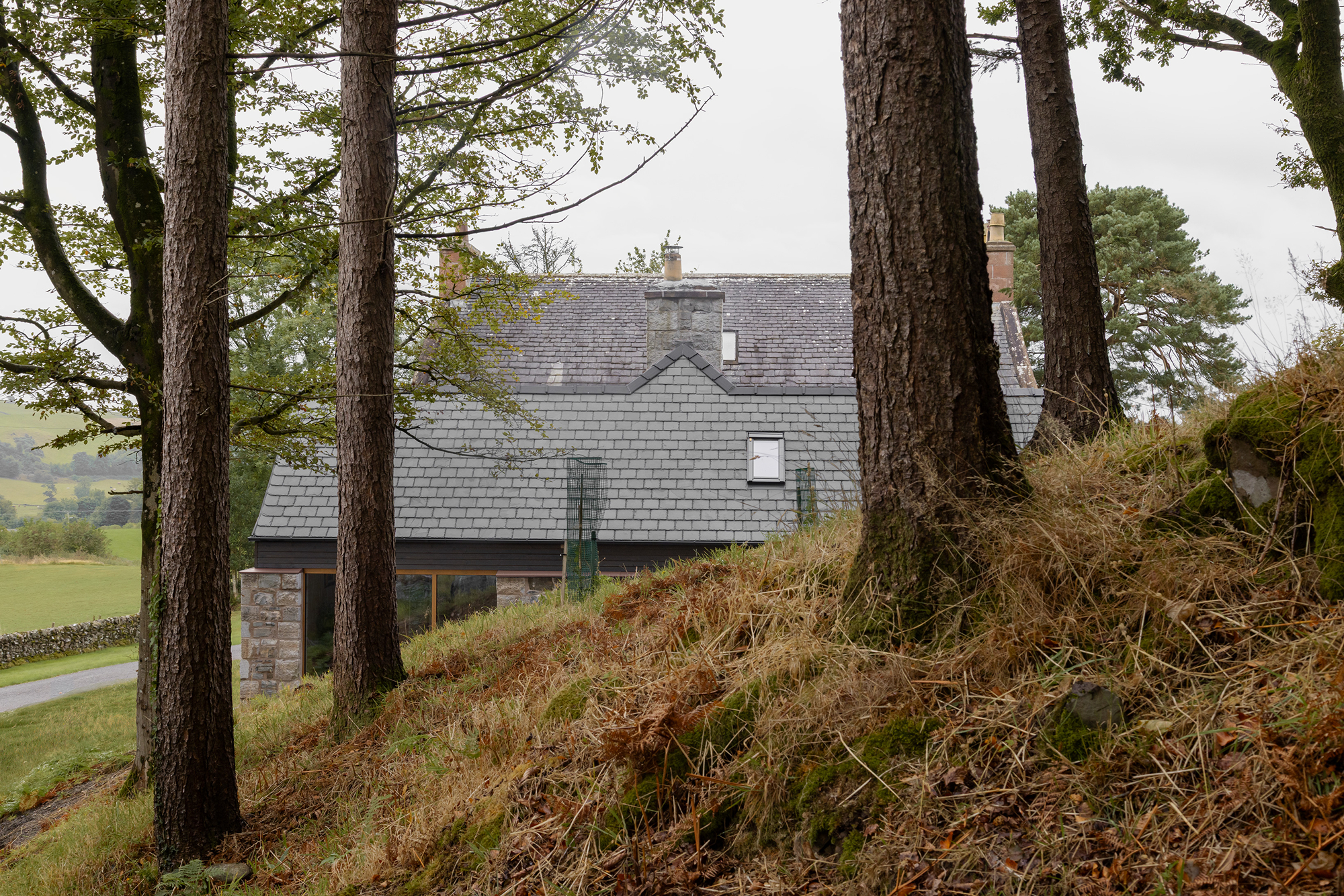 Whinstone Brae - Gessato Whinstone Brae - Gessato